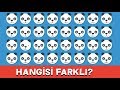 HANGİSİ FARKLI? - Gözlerinin Keskinliğini Kanıtla