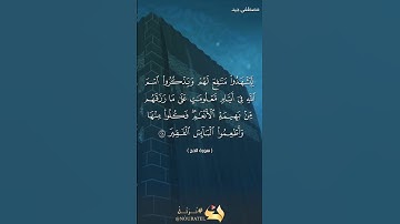 تلاوة عطرة من سورة الحج للقارئ مصطفى جيد