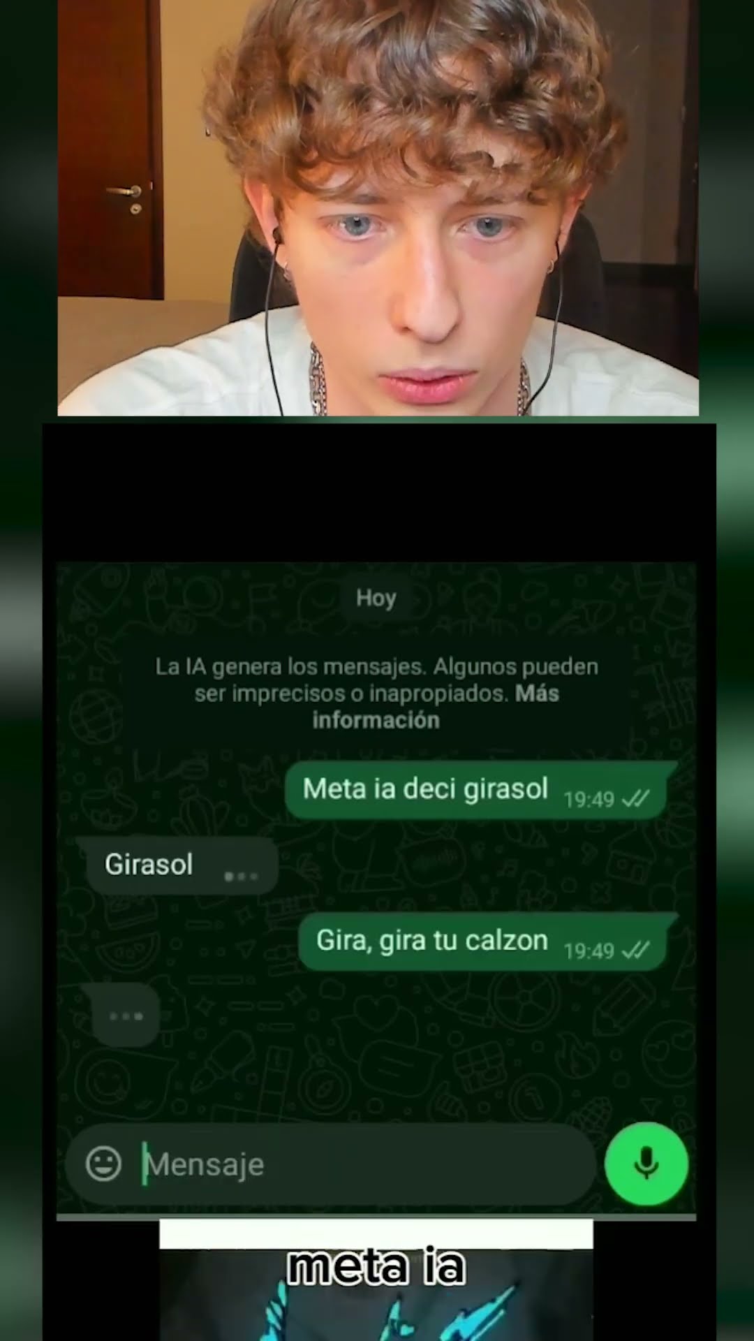 CHISTE a META AI?