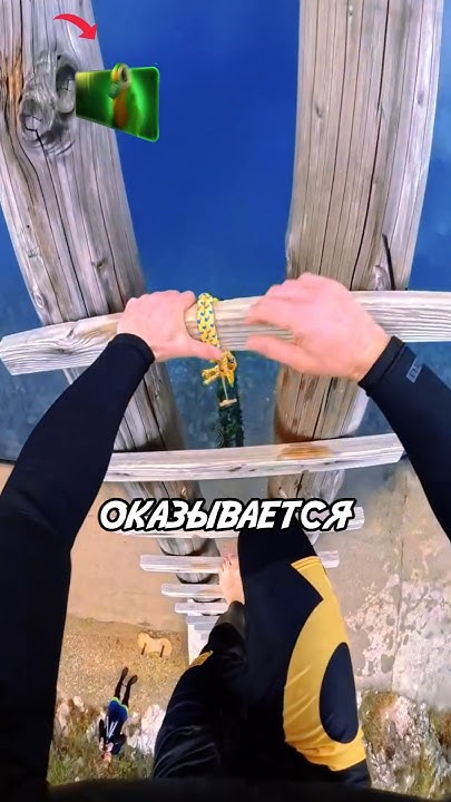 Он любит высокие лестницы 🤯😱 #высота #рек #топ - YouTube