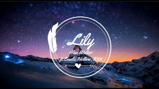 Lily - Alan Walker ft. Emelie Hollow & K391 ( Lyrics Video )