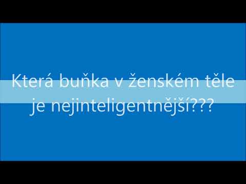Vtipné Logické Hádanky