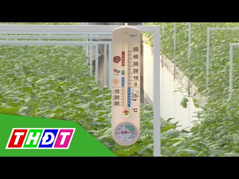 Video Phát triển hệ sinh thái nông nghiệp công nghệ cao |... - YouTube
