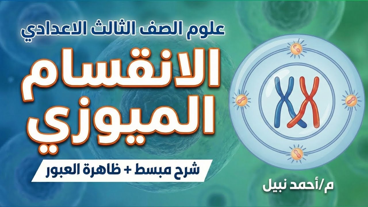 شرح الانقسام الميوزي بالكامل للصف الثالث الإعدادي 🧬 أهم الأسئلة المتوقعة في الانقسام الميوزي 📝