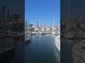 Toronto summer!