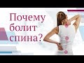 Почему болит спина? Симптомы, МРТ диагностика, лечение боли в спине и позвоночнике.