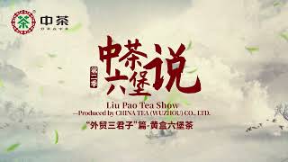 Liu Pao Tea Show Season 2--Popular Huanghe Liu pao Tea /中茶六堡说第二季---中茶黄盒六堡茶