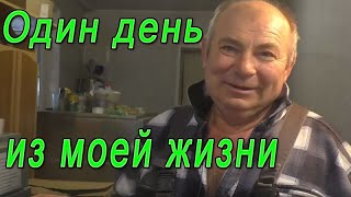 Один день из моей жизни | Будни птицевода