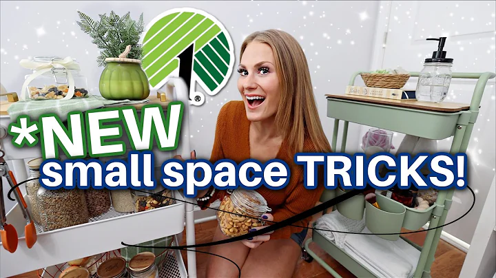 You're MISSING these DOLLAR TREE ORGANIZING tricks 🔥 small space secrets ✨