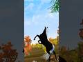 Wild & Free!🩷 #videogameland #flyingunicornsimulator #shorts #edit #free #dualipa #freedom #horse