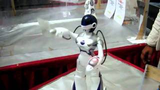 Funny female robot at techkriti '11.....