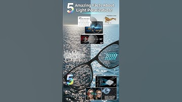 5 Amazing Facts About Light Polarization! 🕶️💡 (Sunglasses Block Half of ALL Light!)