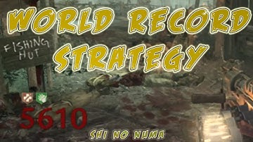 The "Ultra" High Round Strategy Guide: Shi no Numa (Call of Duty World at War)