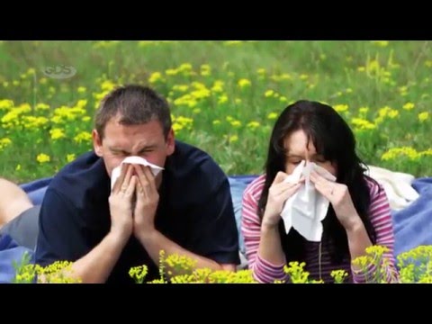 როგორ გავუმკლავდეთ სეზონურ ალერგიებს