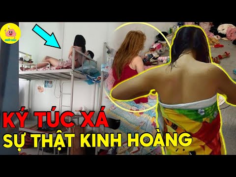 Video: Gecko Gọi Nhiều Hơn điện Thoại Dozen Khi ở Trong Bệnh Viện Hải Cẩu Nhà Sư