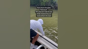 Shark Attacks Fisherman in Florida Everglades!