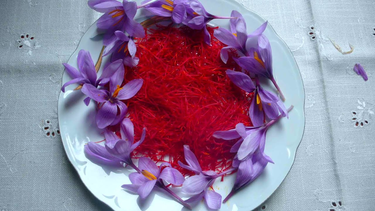 AZIENDA AGRICOLA DI ALESSANDRA MORETTE DI SARULE