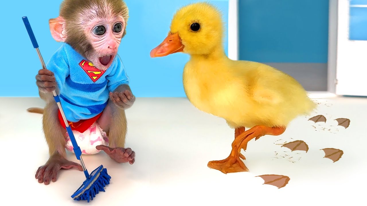 Monkey Baby Bon Bon Takes a Bath with Duckling in the Bathtub and Eats Ice  Cream So Yummy 