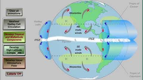 Global Winds Animation