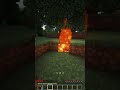 MINECRAFT MA... OGNI 10S MI TRSFORMO in un MOB DIVERSO