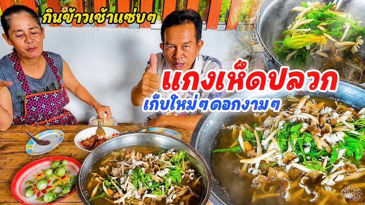 แกงเห็ดปลวกเก็บใหม่ๆ ดอกงามๆ แกงร้อนๆกินตอนเช้า แนวกินอีสานบ้านเฮาแซบขนาด!!