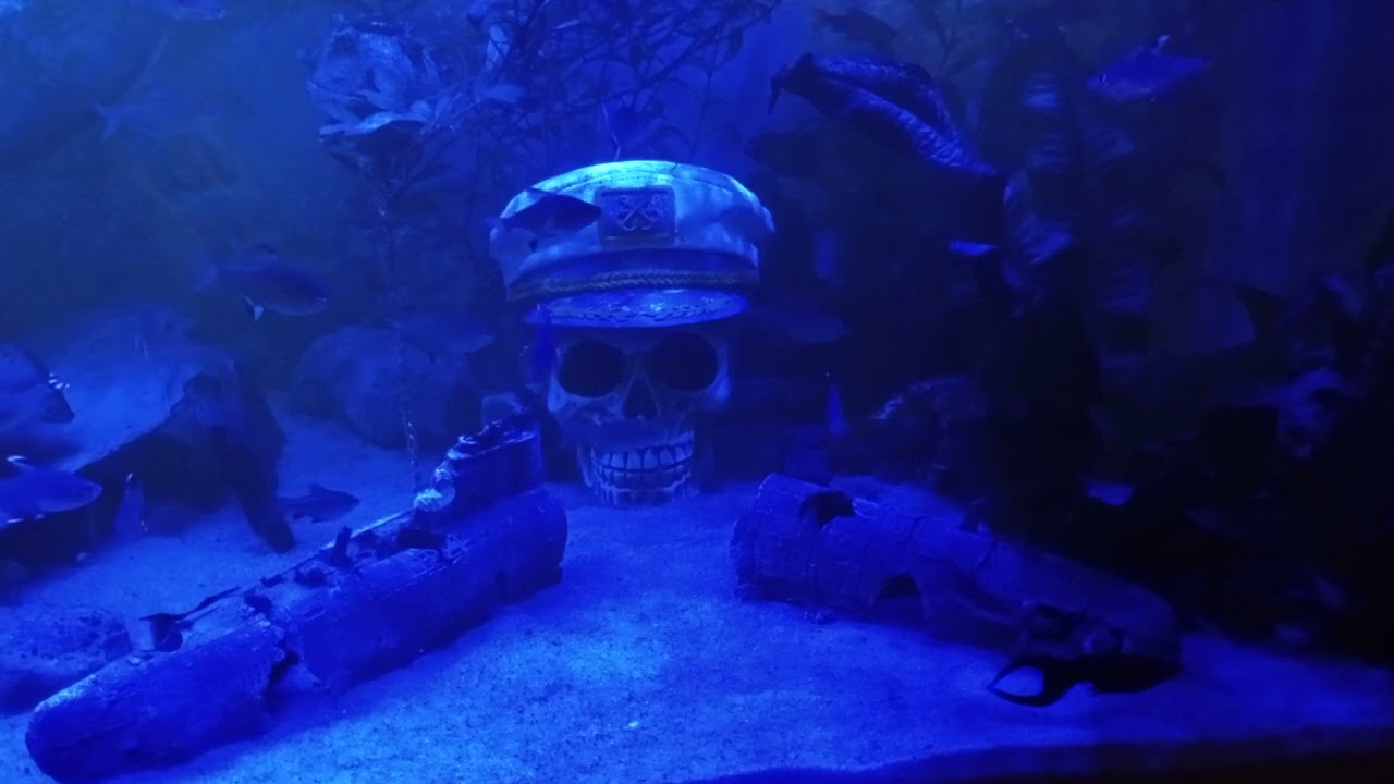 das boot music in aquarium