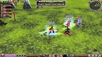 Metin2Nexus Damage Record