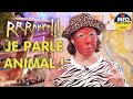 Quiz sur la Communication Animale