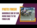 Photo Finish! Incredible Side by Side Horse Race to the Finish Line