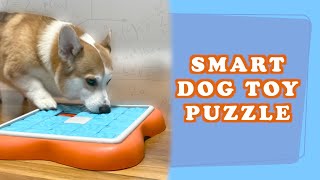 BEST SMART DOG TOY PUZZLE  Review