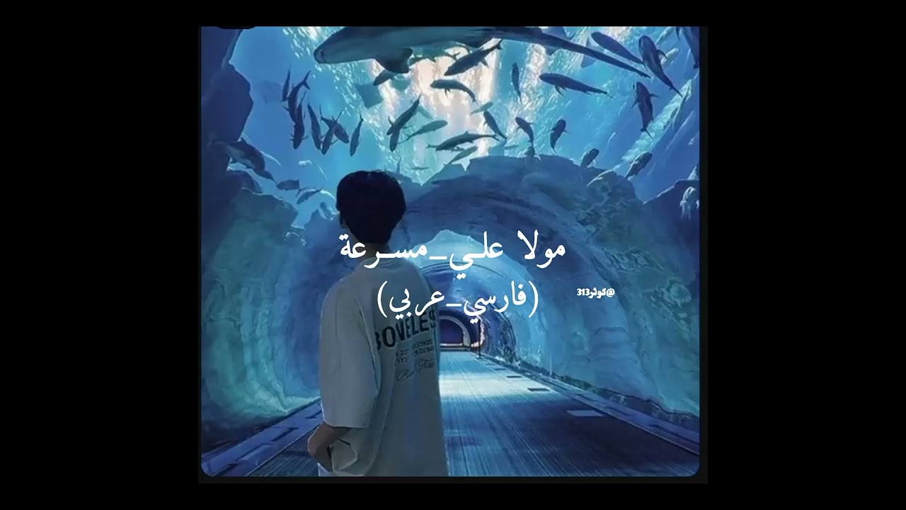 مولا علي مسرعة✨