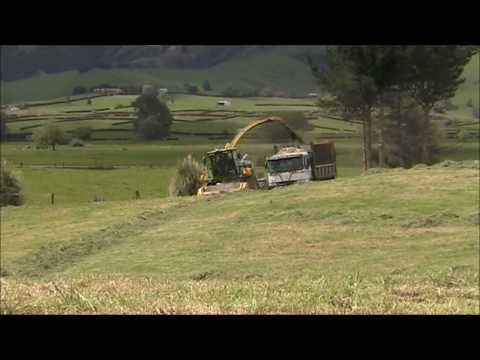 John Austin Ltd Grass Silage 2010.