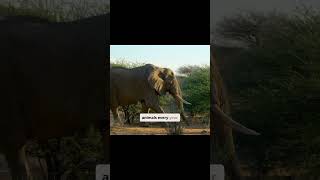 Ai And Nature Working Together