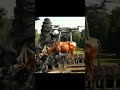 Wild Birds Attack Drone Carrying Roasted Cows at Ta Krabei Temple #aivideo #drone #shorts #short