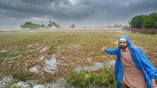 Tufani Barish Se Gandum Ki Fasal K Kharb Hone Lagi 