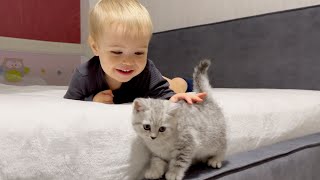 Adorable Baby Meets Kitten for the First Time! Cutest Reaction!