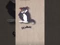 ياليل من الهوى والشوق كيف انه ياليل من الهوى والشوق كيف انه
