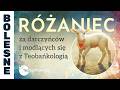 Różaniec za darczyńców i modlących się z Teobańkologią | 09.06