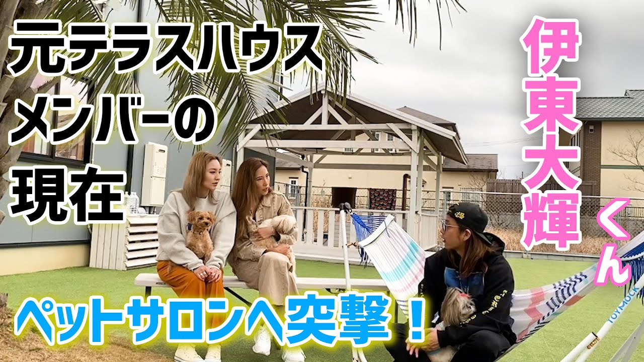 感動 ワンちゃん ネコちゃんを救いたい 保護活動の現実 元テラハメンバー伊東大輝くんの現在は Youtube
