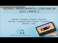 Tocata Pavão Bonito Conchas SP PARTE 2 Hayller Daniel Samuel Edmyr Betinho 2011 | Canal CCB Hinos