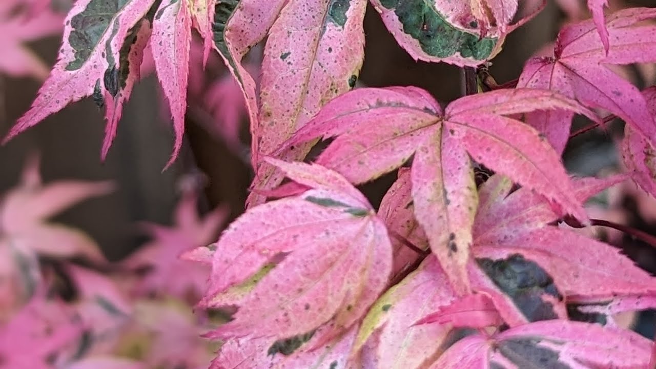 Spring is here! 5-13-24