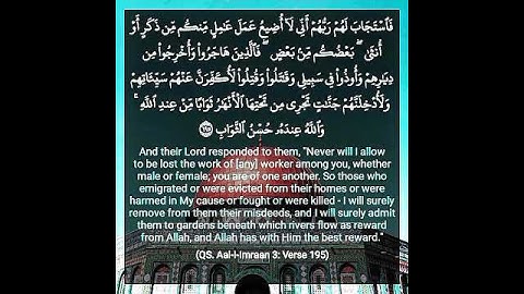 القرأن الكريم سورة ال عمران الأية 195 Quran Translated to English #quran #relaxing #iran
