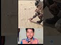 राजस्थान की गर्म रेत #shorts