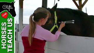 Using a Tuning Fork with Horses