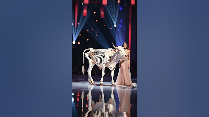 小牛 #supertalentshows#AGT #cut #supertalent #Got Talent #showcase #supershow #agtcontestants