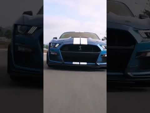 فورد موستنج شيلبي  