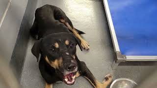 acs A691704