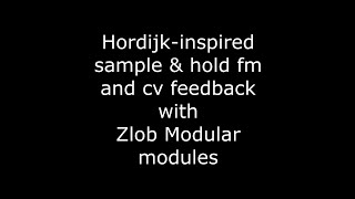 Hordijk Inspired S&H FM and CV Feedback with Zlob Modular Modules