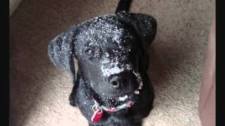 Girl With A Problem For Cleo