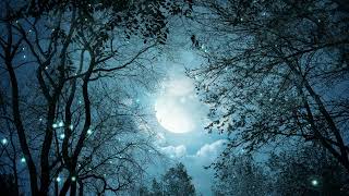 Moonlight Night Desktop Live Wallpaper | Loop screenshot 2